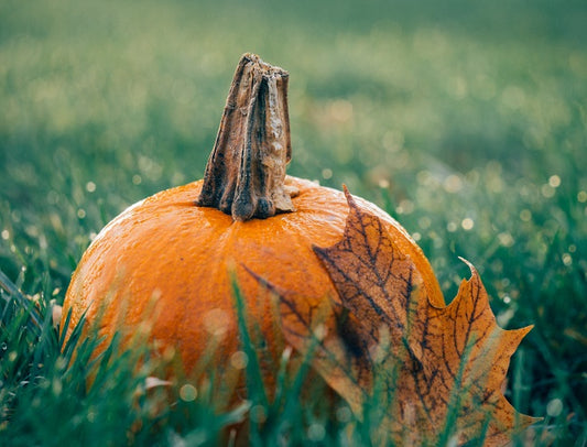 Introducing Fair Trade Organic Pumpkin Spice Pie Coffee